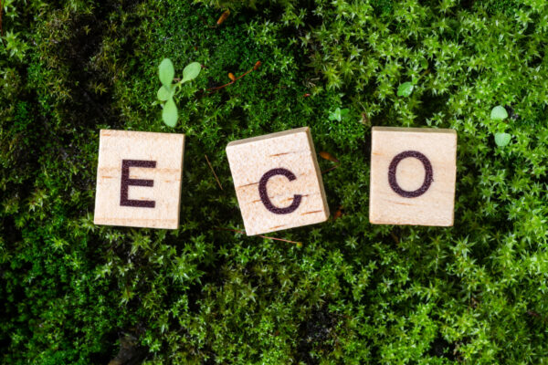 Инновация в производстве календарей - деревянные календари